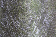 Nebo fibreglass roof work